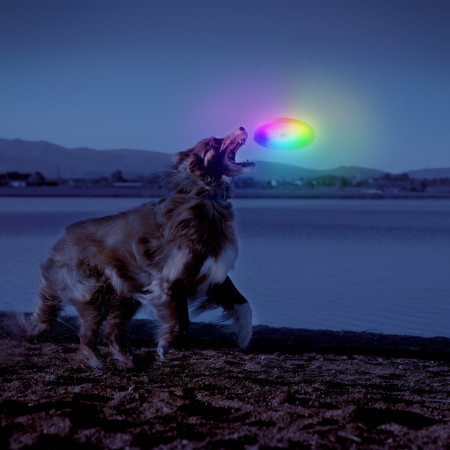 Hundespielzeug Nite Ize Flashflight® Dog Discuit™ LED Flying Disc