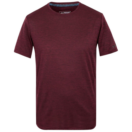 Herren-T-Shirt Regatta Fingal Edition