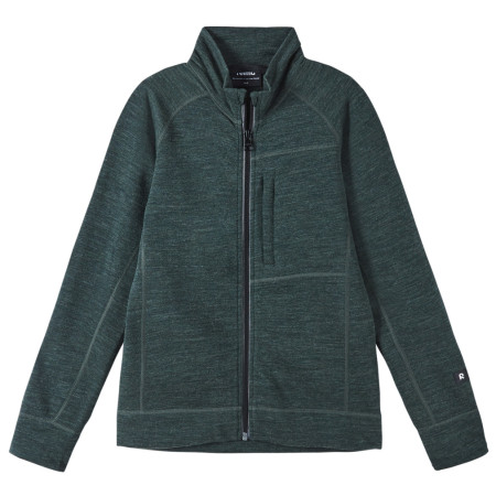 Kinder-Sweatshirt Reima Mahti grün Thyme Green