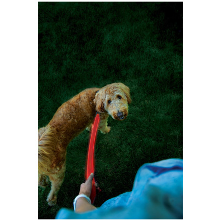 Hundeleine Nite Ize LED NiteDog