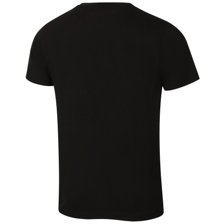 Herren T-Shirt Alpine Pro Lyor (2025)