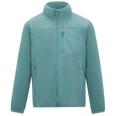 Kinder-Sweatshirt Regatta Junior Frankie F/Z Ivy Moss hellgrün Ivy Moss