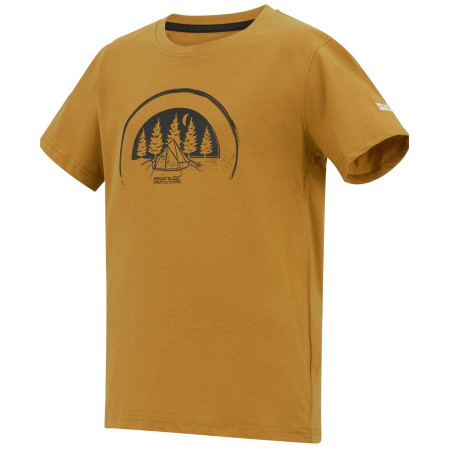 Kinder-T-Shirt Regatta Bosley Wood Brown