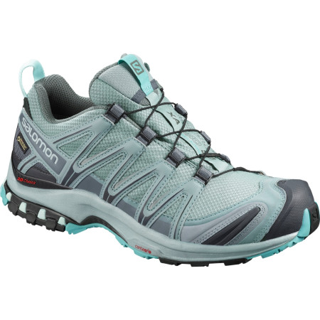 Damenschuhe Salomon Xa Pro 3D Gtx® W grau Leader