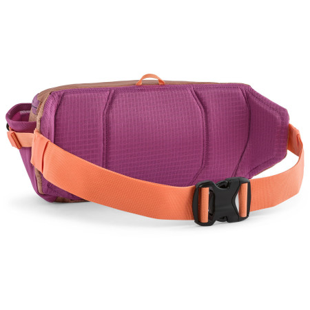 Hüfttasche Patagonia Black Hole Waist Pack 5L