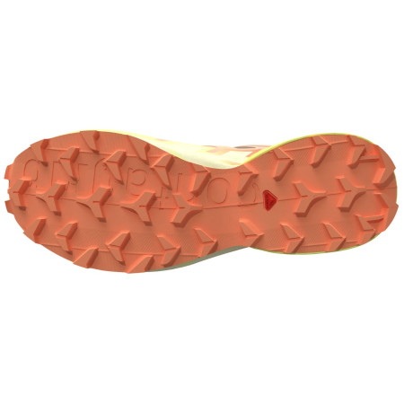 Damen Laufschuhe Salomon Speedcross 6