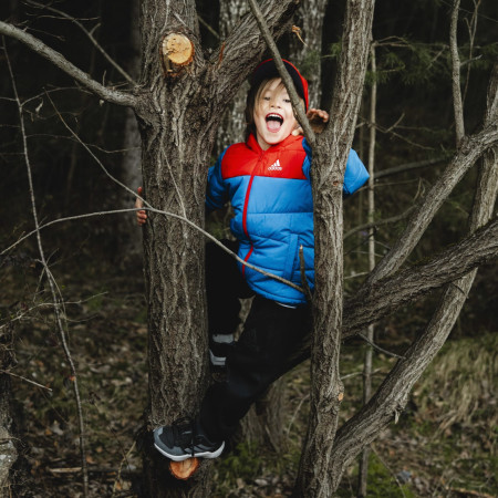 Kinderschuhe Adidas Terrex Ax4R K