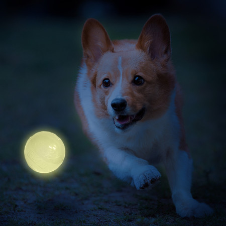 Hundespielzeug Nerf Dog LED launcher Air Strike