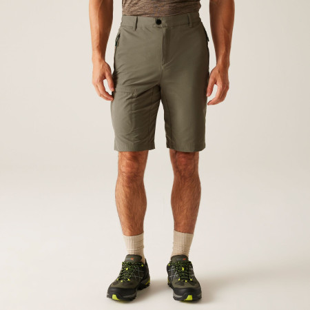 Herrenshorts Regatta Highton Shorts Long II