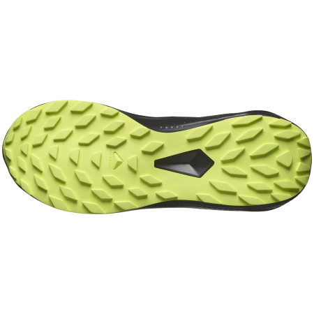 Herren Laufschuhe Salomon Alphaglide Gore-Tex