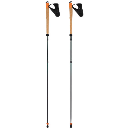 Trail Running Stöcke Warg Carbon Trailgoat 120 grün green