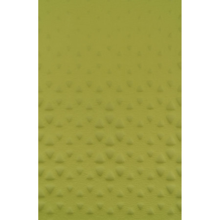 Selbstaufblasende Isomatte Sea to Summit Camp Mat Self Inflating Mat R