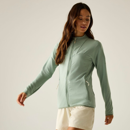 Damen-Sweatshirt Dare 2b Torrek Stretch Midlayer