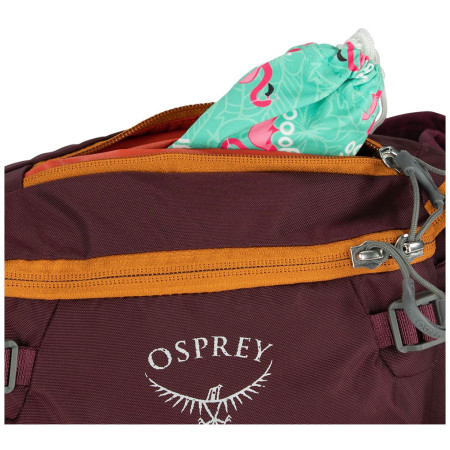 Hüfttasche Osprey Savu 5