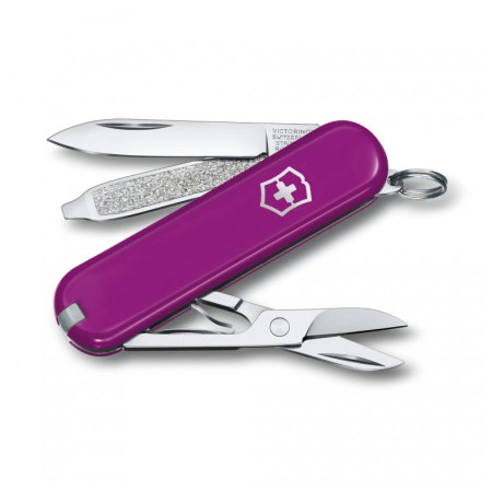 Taschenmesser Victorinox Classic SD Colors lila Tasty Grape