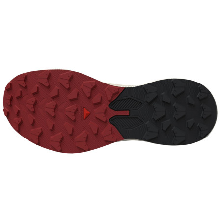 Herrenschuhe Salomon Pulsar