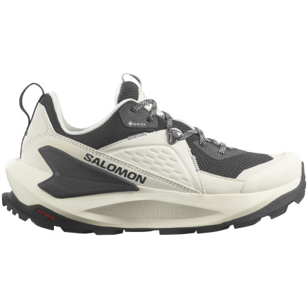 Damenschuhe Salomon Elixir Gore-Tex beige Vanilla Ice / Phantom / Metal