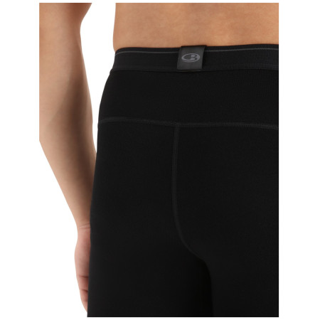 Herren-Funktionsunterhosen Icebreaker M 260 Tech Leggings wFly
