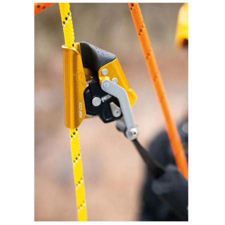 Auffanggerät Petzl Asap Lock
