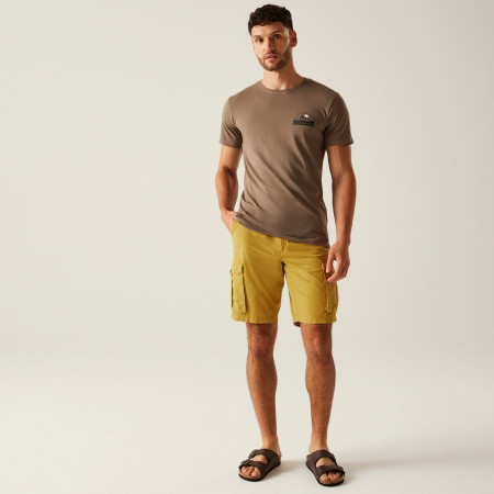 Herrenshorts Regatta Shorebay Shorts II