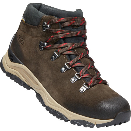 Wanderschuhe Keen Feldberg Apx Wp M braun Ebony/Brown