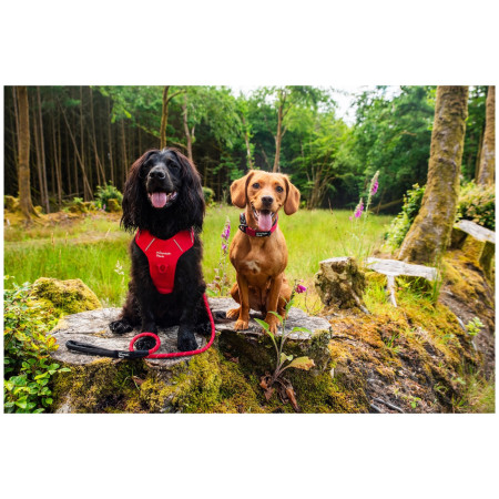 Hundeleine Mountain Paws Rope Dog Lead