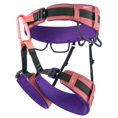 Klettergurt Beal Trinity