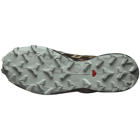 Herren Laufschuhe Salomon Speedcross 6 Gore-Tex