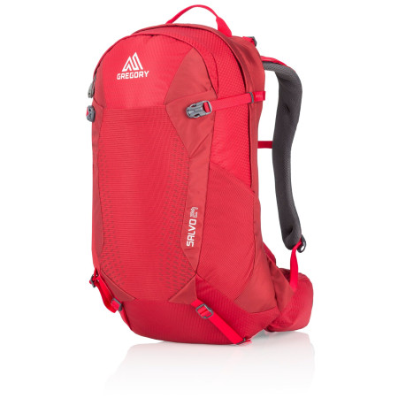 Rucksack Gregory Salvo 24 rot TangoRed