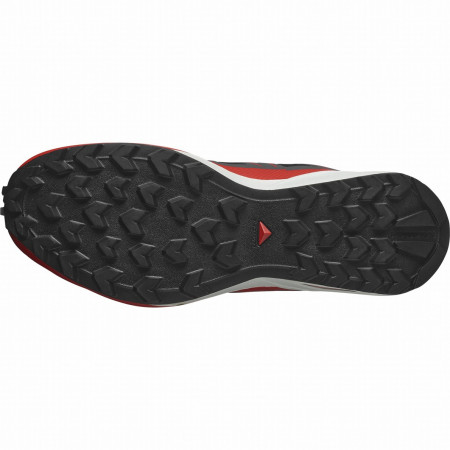 Herrenschuhe Salomon Speedcross Peak