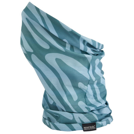 Kinder-Multifunktionstuch Regatta Kids Printed Multitube II grün Sprgrn/GrHzA