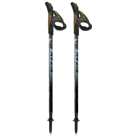 Stöcke Fizan NW Lite grau/schwarz grey