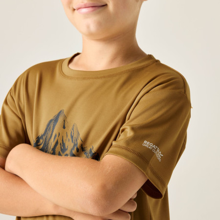 Kinder-T-Shirt Regatta Alvarado Wood Brown