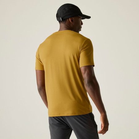 Herren-T-Shirt Regatta Fingal Stretch