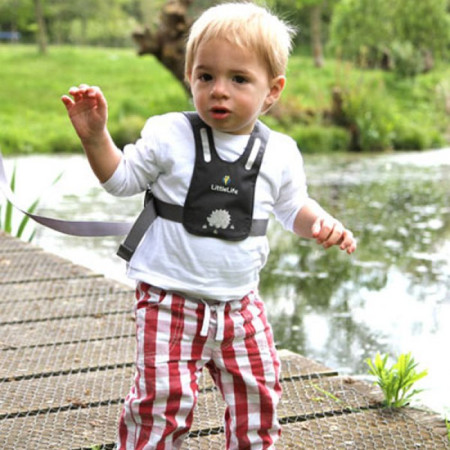 Kleinkind-Geschirr LittleLife Reins Grey