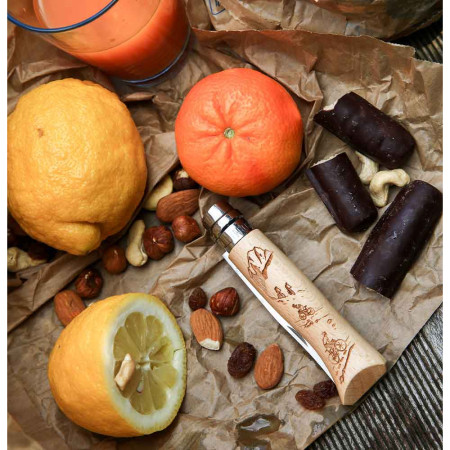 Messer Opinel Vri N°8 Inox Biking