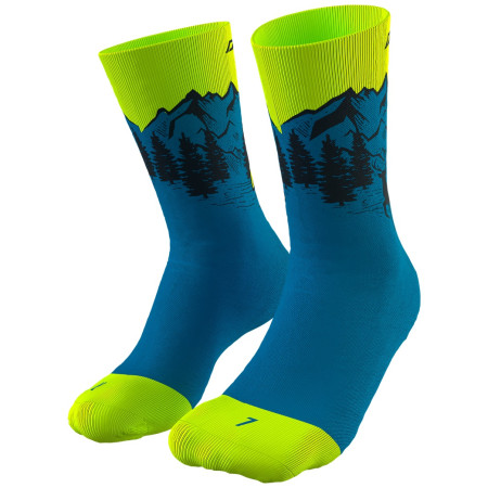 Socken Dynafit Stay Fast Sk dunkelblau Reef
