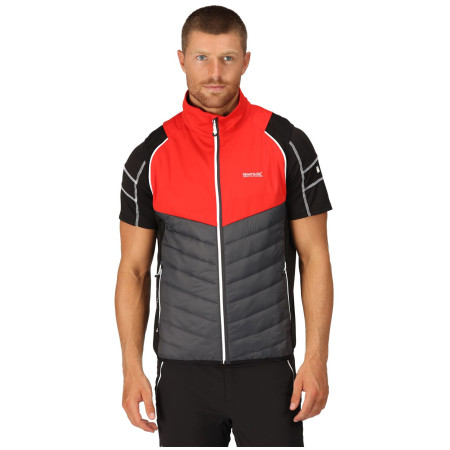 Herrenjacke Regatta Steren Hybrid