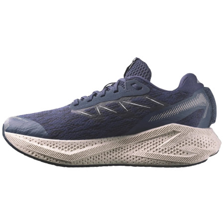 Herren Laufschuhe Salomon Aero Glide 4