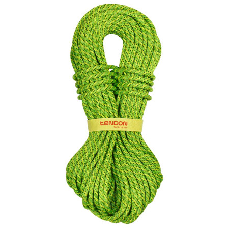 Kletterseil Tendon Ambition 9,8 mm (50 m) STD grün Green