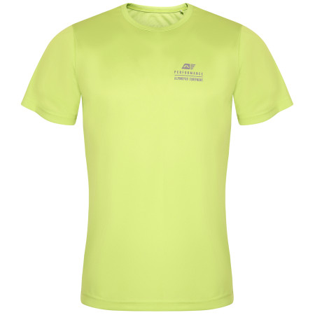 Herren-T-Shirt Alpine Pro Clun grün green