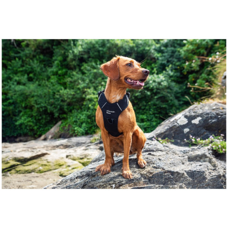 Hundegeschirr Mountain Paws Dog Harness