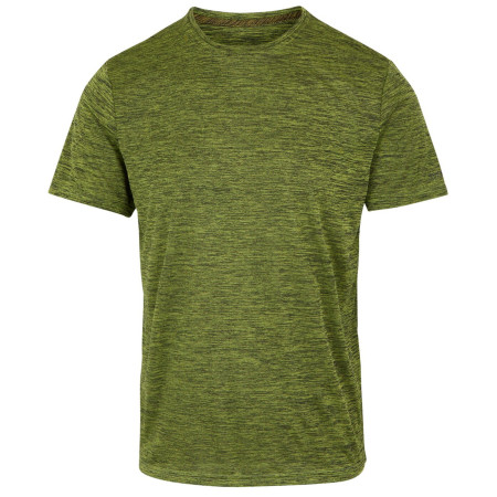 Herren-T-Shirt Regatta Fingal Edition dunkelgrün GrenoblGreen