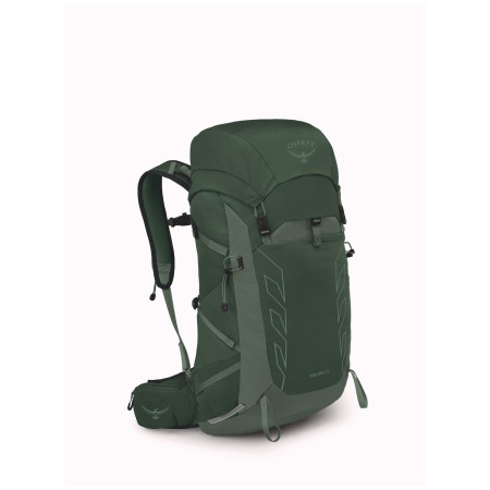 Wanderrucksack Osprey Talon 33 grün green canopy/pine leaf