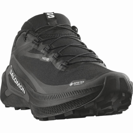Herren Laufschuhe Salomon Genesis 2 GTX
