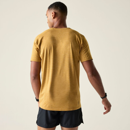 Herren-T-Shirt Dare 2b Persist Tee