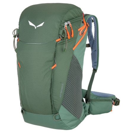 Rucksack Salewa Alp Trainer 25 grün DuckGreen
