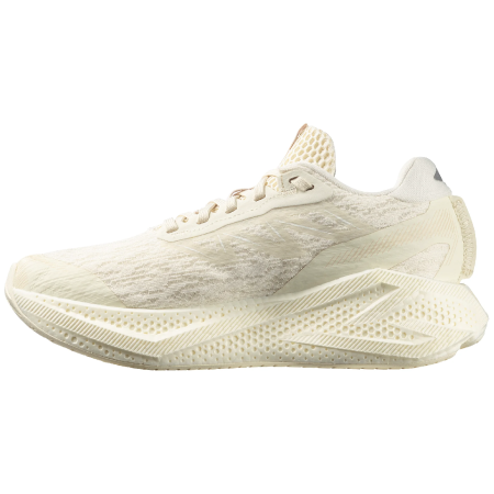 Damen Laufschuhe Salomon Aero Glide 4