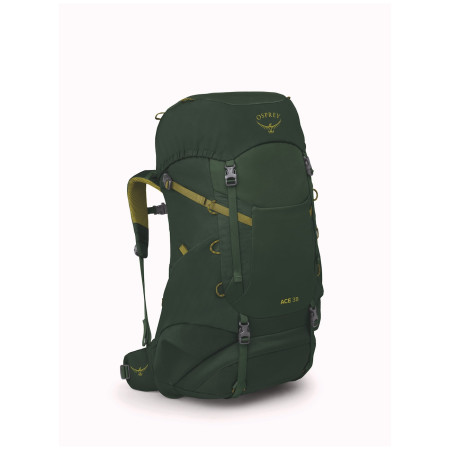 Kinderrucksack Osprey Ace 38 grün green canopy/matcha green