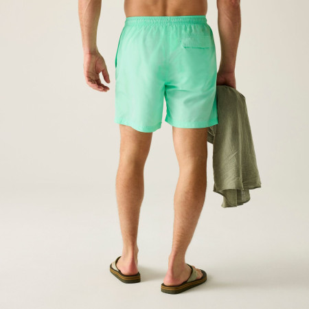 Herrenshorts Regatta Mackleyna Swim Short